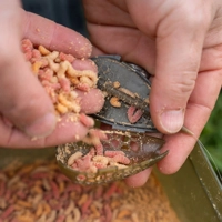Korum Camo Grub Feeders